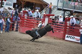 Bull Riding — Photo 91 — Project 365